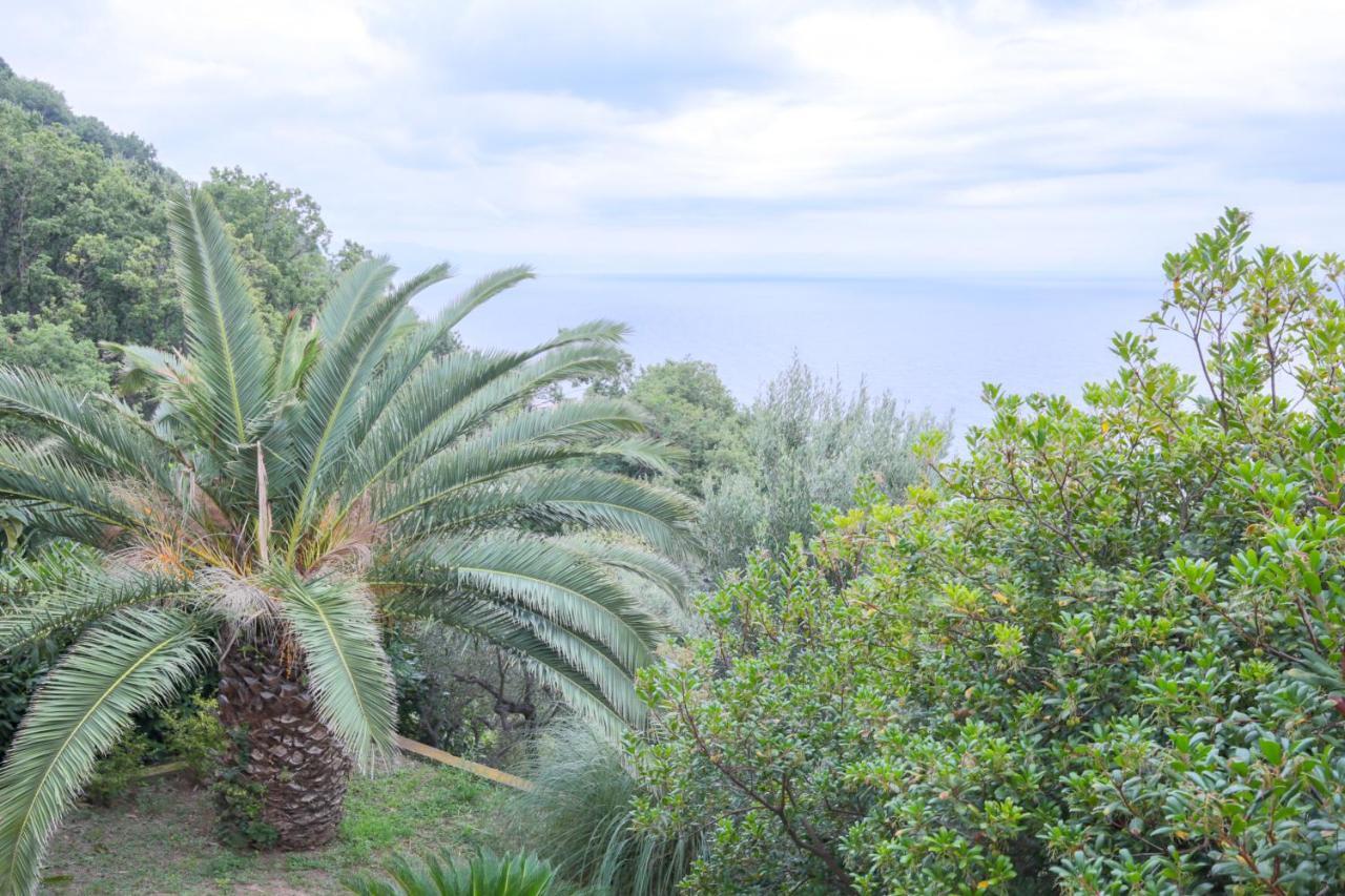 Villa Gio - Terrazza Nel Blu Bergeggi Eksteriør bilde